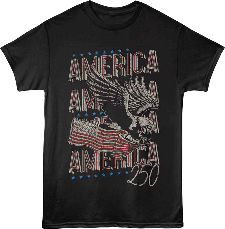 250 Years America T-Shirt