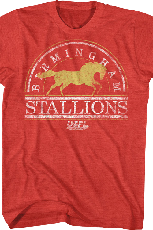 Birmingham Stallions USFL T-Shirt