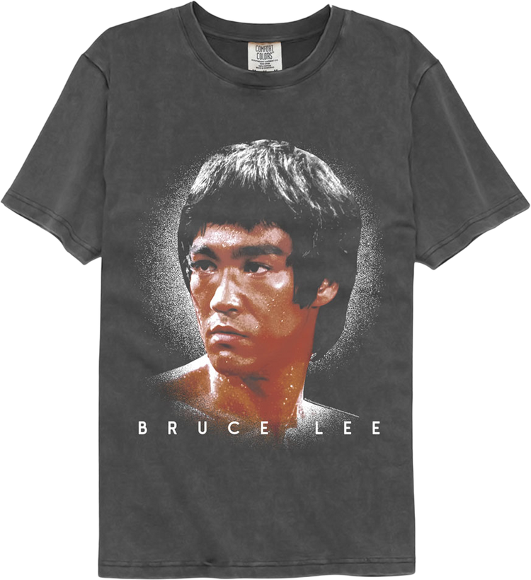 Bruce Lee Shadow Strike Comfort Colors Brand T-Shirt
