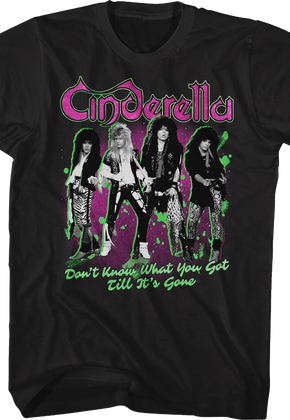 Don't Know What You Got Till It's Gone Cinderella T-Shirt