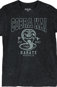 Est. 2017 Cobra Kai T-Shirt