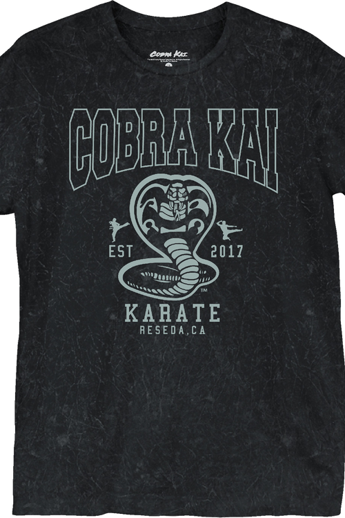 Est. 2017 Cobra Kai T-Shirt