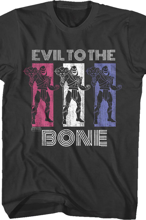 Skeletor Evil to the Bone Masters of the Universe T-Shirt