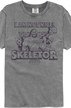 Skeletor Not Nice Masters of the Universe Comfort Colors Brand T-Shirt