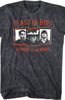 So What'cha Want Beastie Boys Mineral Wash T-Shirt