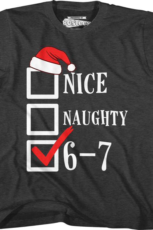 Youth Santa's Nice, Naughty, 6-7 Checklist Shirt