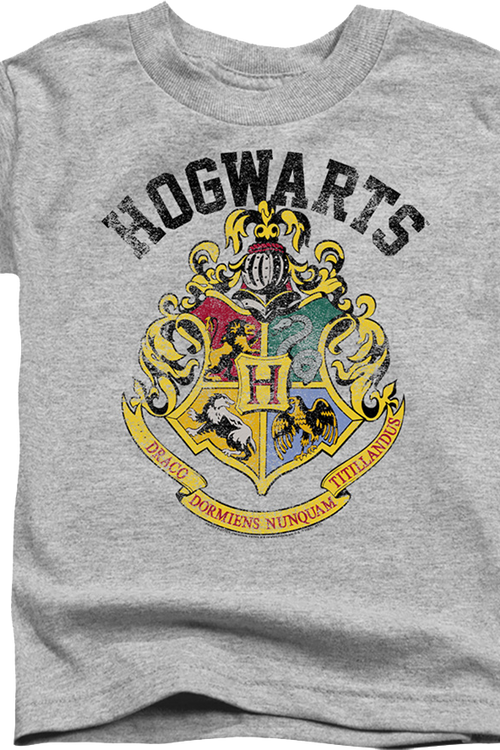 Youth Vintage Hogwarts Crest Harry Potter Shirt