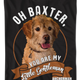 Baxter Anchorman T-Shirt thumbnail