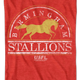 Birmingham Stallions USFL T-Shirt thumbnail