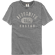 Boston 1973 Aerosmith Comfort Colors Brand T-Shirt thumbnail