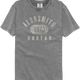 Boston 1973 Aerosmith Comfort Colors Brand T-Shirt thumbnail