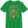 Boys Youth Teenage Mutant Ninja Turtles Shirt
