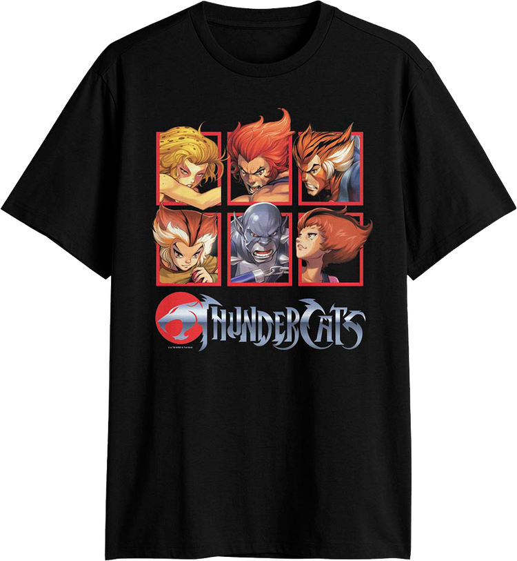 Character Boxes ThunderCats T-Shirt