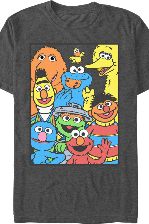 Charcoal Heather Framed Cast Photo Sesame Street T-Shirt