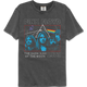 The Dark Side of the Moon 1973 Pink Floyd Comfort Colors Brand T-Shirt thumbnail