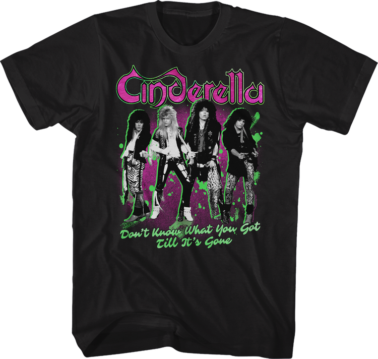Don't Know What You Got Till It's Gone Cinderella T-Shirt