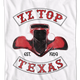Est. 1969 ZZ Top T-Shirt thumbnail