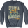 Eternia Battle Cats Masters of the Universe Sweatshirt