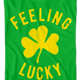 Feeling Lucky St. Patrick's Day T-Shirt thumbnail