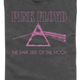 Front & Back 1973 Tour Pink Floyd Comfort Colors Brand T-Shirt thumbnail