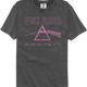 Front & Back 1973 Tour Pink Floyd Comfort Colors Brand T-Shirt thumbnail