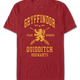 Gryffindor Quidditch Harry Potter T-Shirt thumbnail