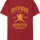 Gryffindor Quidditch Harry Potter T-Shirt