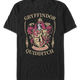 Gryffindor Quidditch Crest Harry Potter T-Shirt thumbnail
