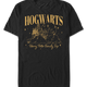 Hogwarts Family Trip Harry Potter T-Shirt thumbnail