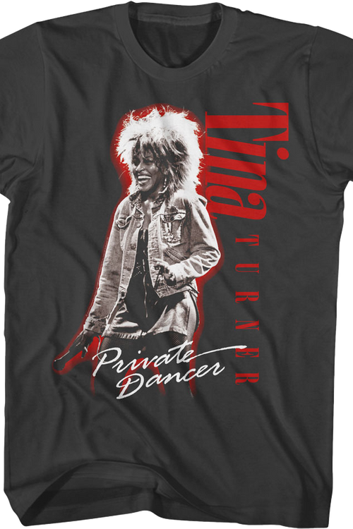 Private Dancer Photo Tina Turner T-Shirt