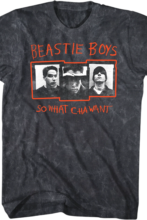 So What'cha Want Beastie Boys Mineral Wash T-Shirt