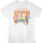 STP Desert Stone Temple Pilots T-Shirt