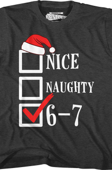 Youth Santa's Nice, Naughty, 6-7 Checklist Shirt