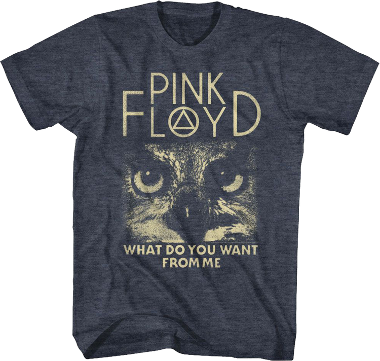 What Do You Want From Me Pink Floyd T-Shirt