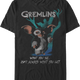 What You See...Isn't Always What You Get Gremlins T-Shirt thumbnail