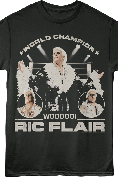 World Champion Wooooo! Ric Flair T-Shirt